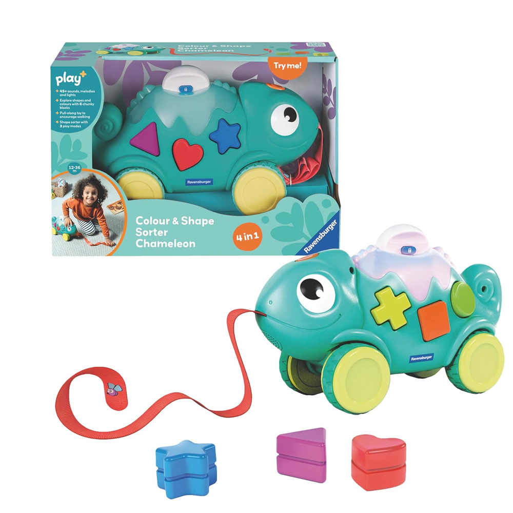 4-in-1 Colour and Shape Sorter Chameleon