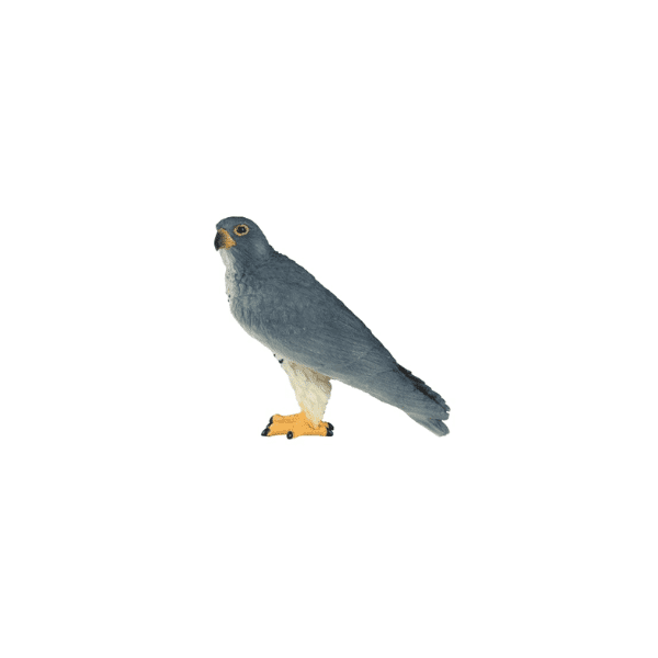 Mojo Wildlife Peregrine Falcon